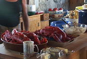 Lobster by Steve