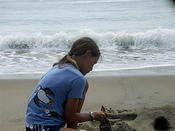 sand joanne 1 001