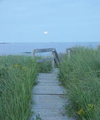 Moon