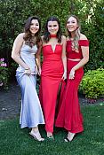 IMG 7914