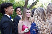 IMG 8301