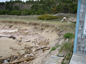 IMG 0360