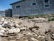 IMG 0375