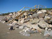 IMG 0182 2