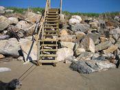 IMG 0183 2