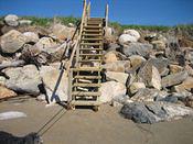 IMG 0184 2