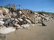 IMG 0185 2