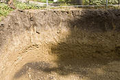 dig2