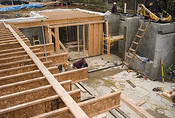 L1000035