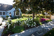frontyard1