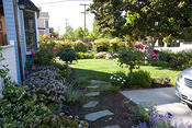 frontyard2