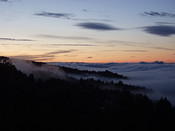 view3