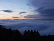 view4