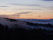 view5