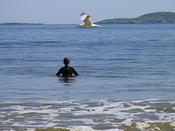 Morg Wades 2 with gull