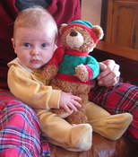xmas teddy