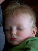 3 06 Otto sleeps in Joyce s lap