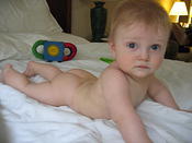 IMG 1491