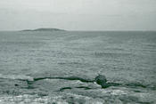 MTM1