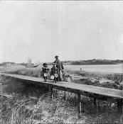 Popham Boardwalk picture 1890 002