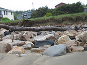 IMG 0476