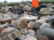 IMG 0478