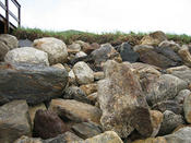 IMG 0483