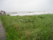 IMG 0490