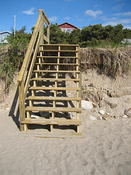 IMG 0253