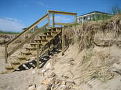 IMG 0255