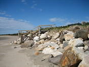 IMG 0256