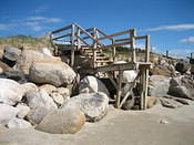 IMG 0257