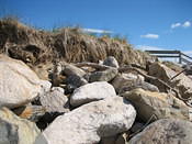 IMG 0258