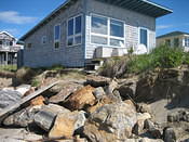 IMG 0260