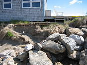 IMG 0261