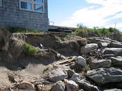 IMG 0262