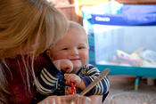 IMG 7623