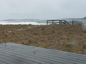 from the deck