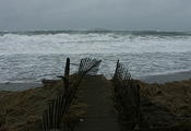 walk the plank