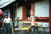 Image0010 11