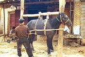 Image0018 1