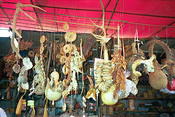 Image0027 11