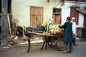 kashgar vendor