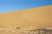 Image0003 28