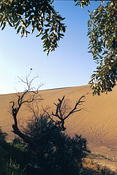 Image0017 28
