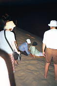 Image0036 24