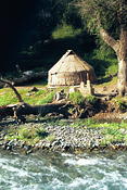 Image0013 21