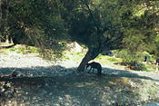 Image0018 21