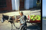 Image0031 19