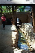 Image0036 18